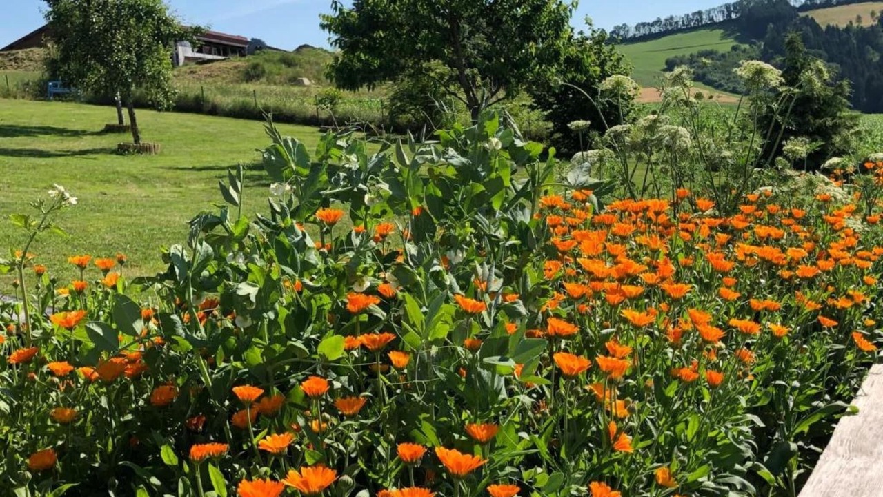 Photo of Others in Waldkirchen