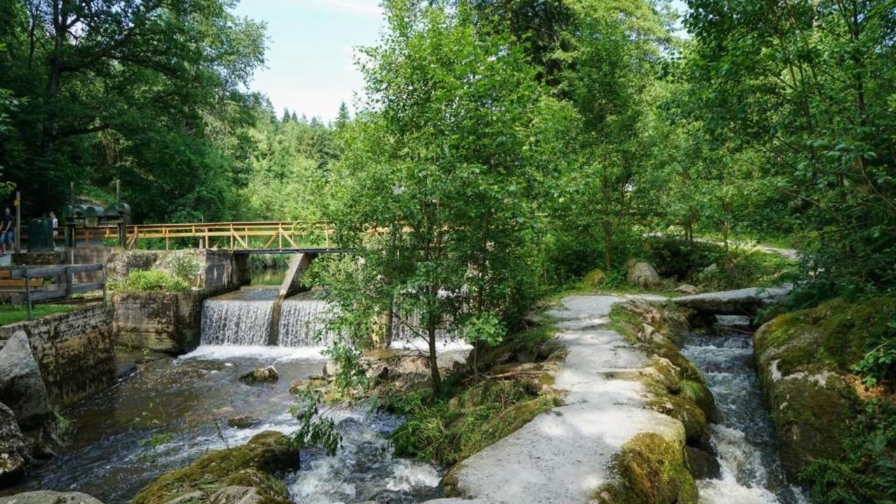 Photo of Others in Waldkirchen