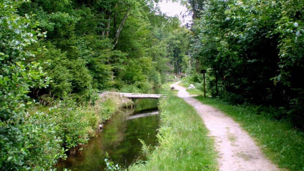 Photo of Others in Waldkirchen