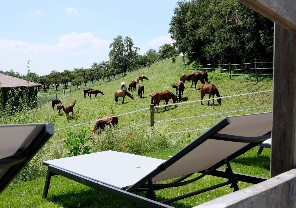 Photo of Outdoor in Neuravensburg