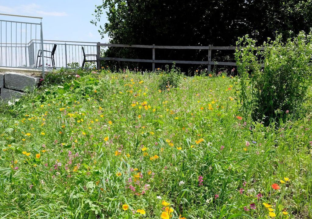 Photo of Outdoor in Neuravensburg