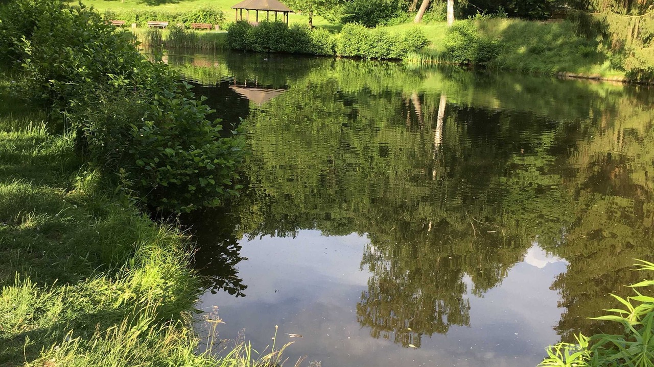 Photo of Outdoor in Sebnitz