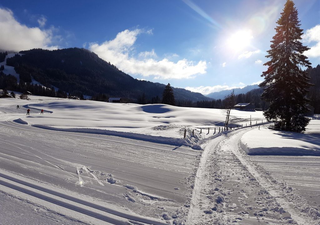 Photo of Others in Balderschwang