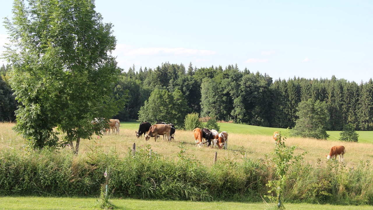 Photo of Others in Rechetsberg
