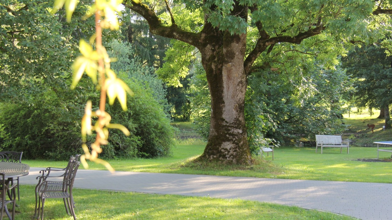 Photo of Outdoor in Rechetsberg
