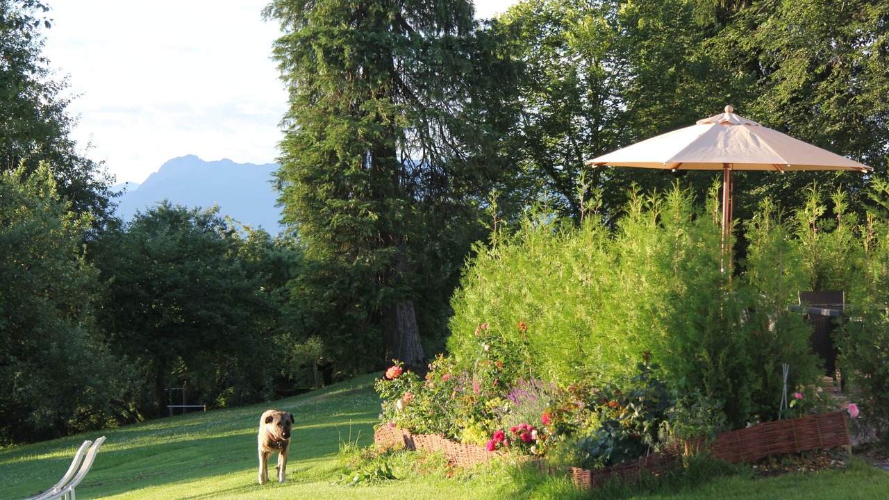 Photo of Outdoor in Rechetsberg