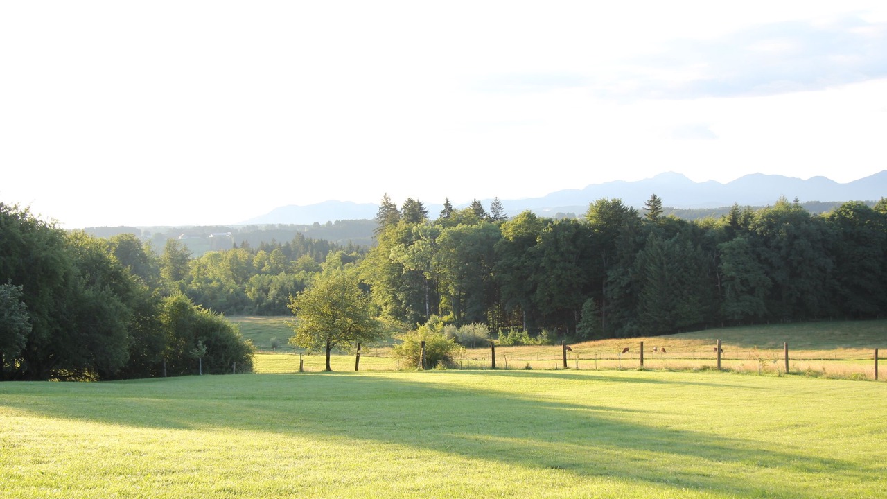 Photo of Outdoor in Rechetsberg