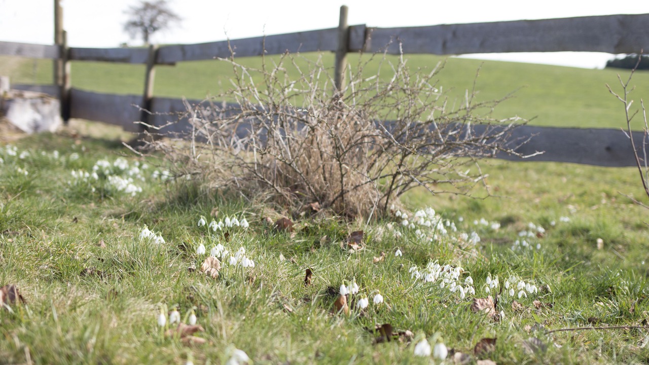 Photo of Outdoor in Unterallgau