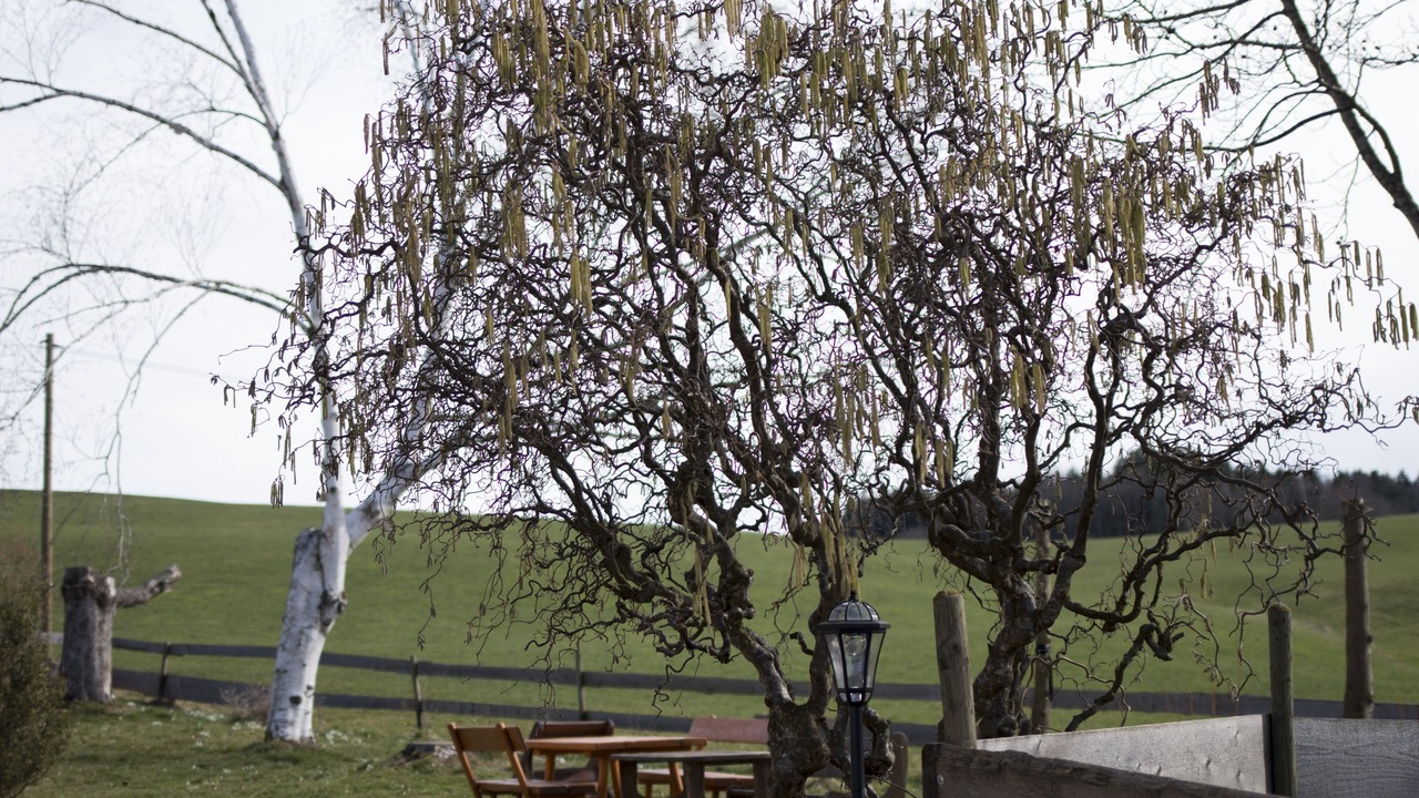 Photo of Outdoor in Unterallgau
