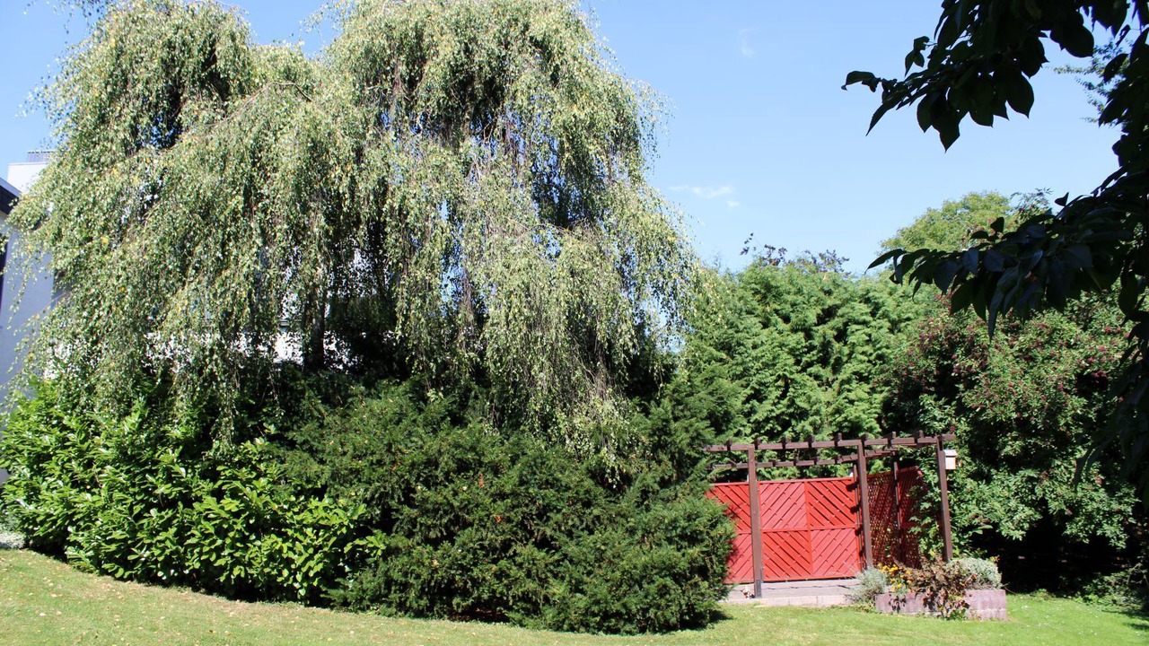 Photo of Outdoor in Korbecke