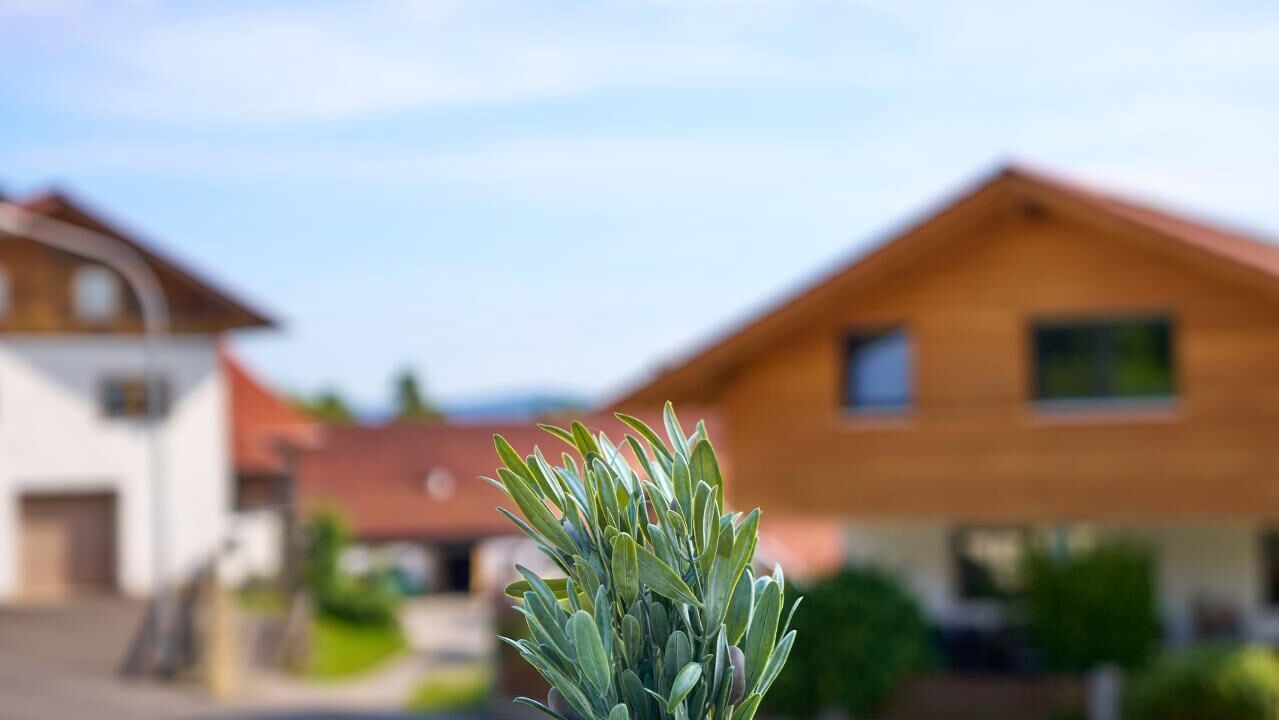 Photo of Outdoor in Kollnburg