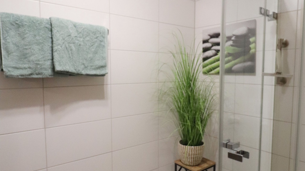 Photo of Bathroom in Mittelberg