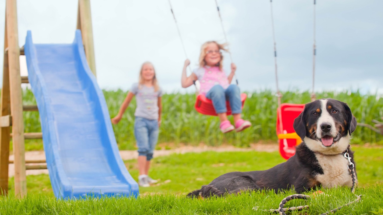 Photo of Outdoor in Emmingen-Liptingen