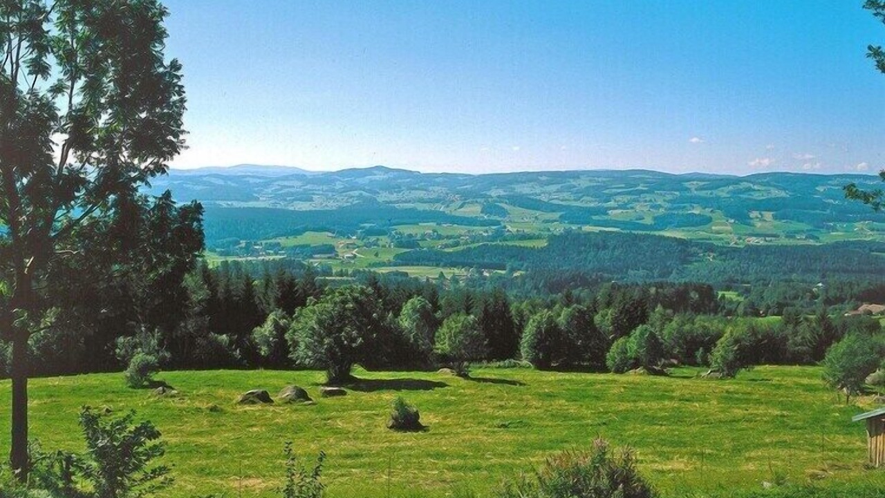 Photo of Others in Neureichenau