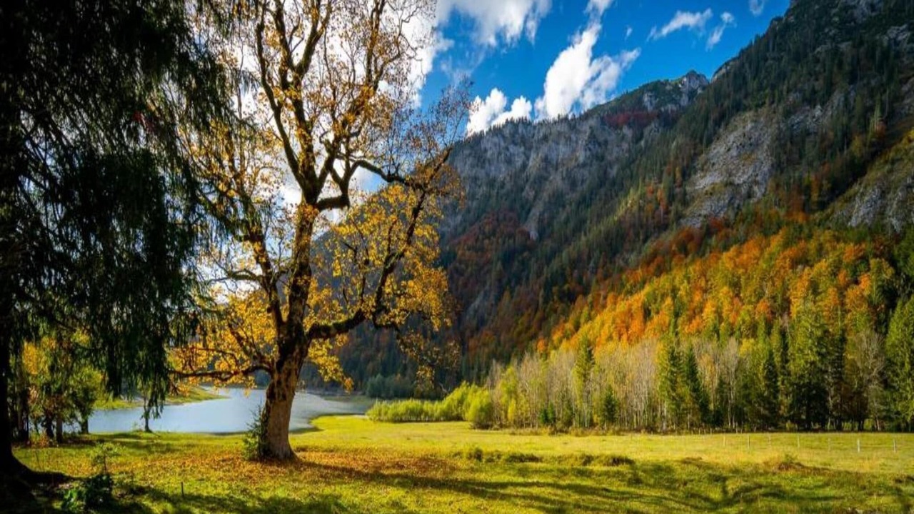 Photo of Others in Ruhpolding