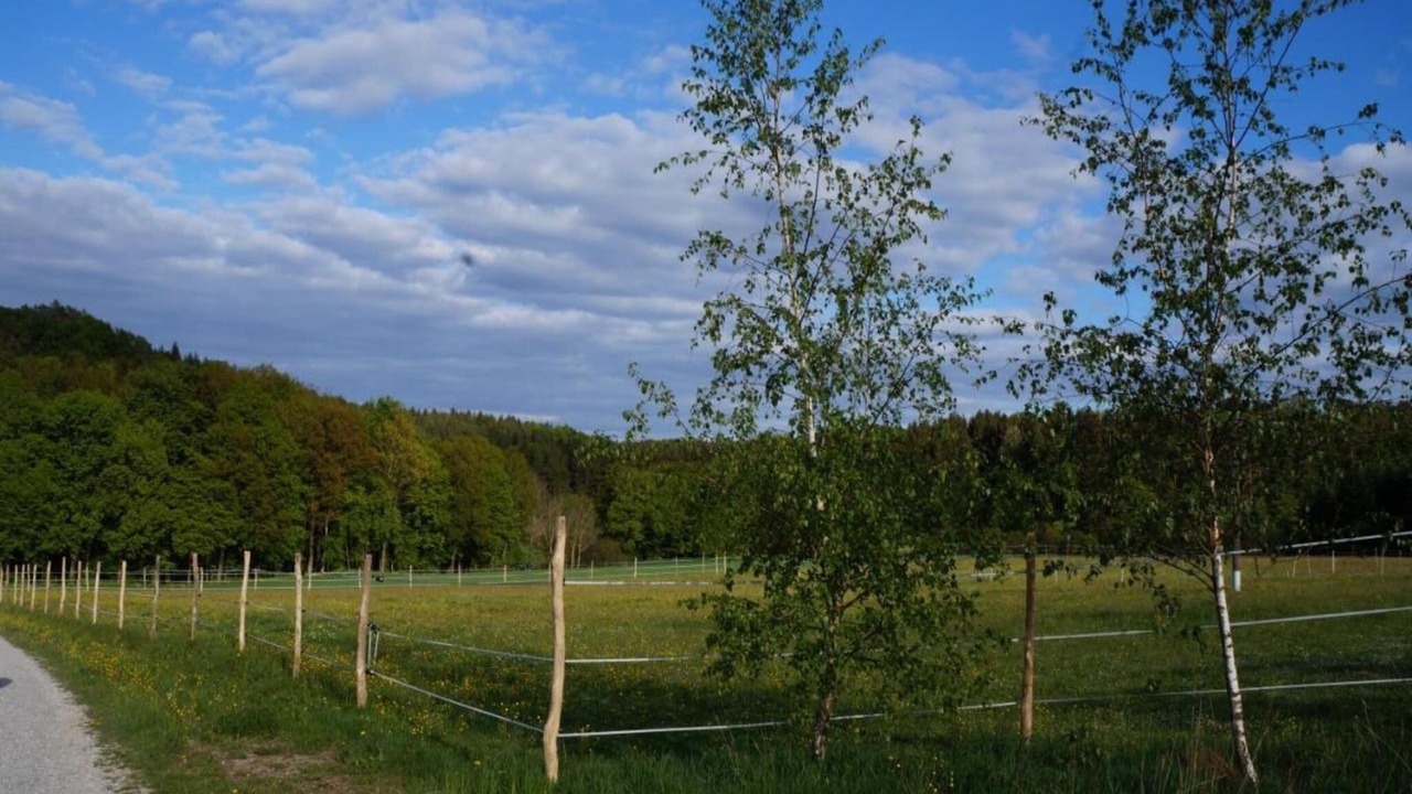 Photo of Others in Weissenburg in Bayern