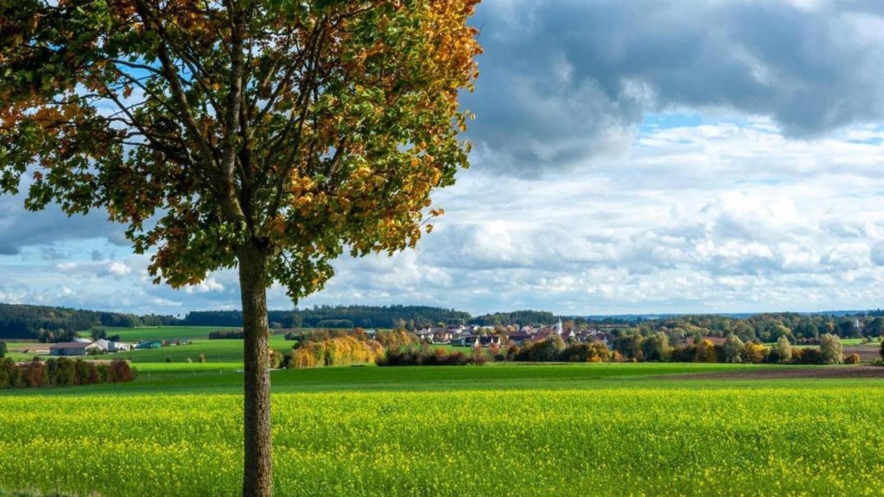 Photo of Others in Weissenburg in Bayern