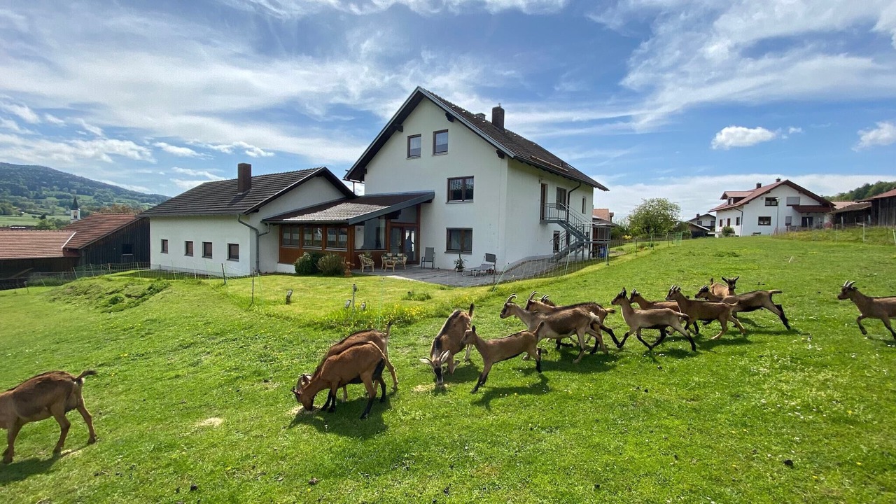 Photo of Outdoor in Gleissenberg