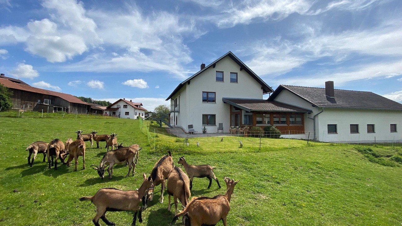 Photo of Others in Gleissenberg
