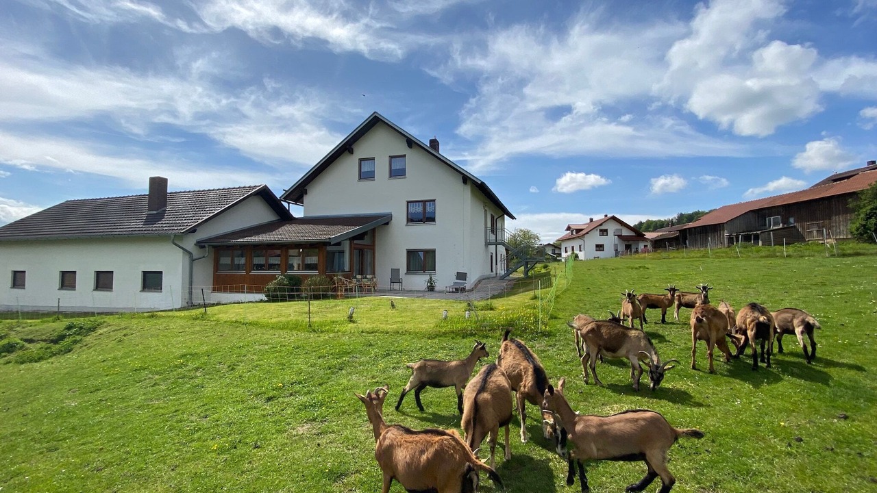 Photo of Outdoor in Gleissenberg