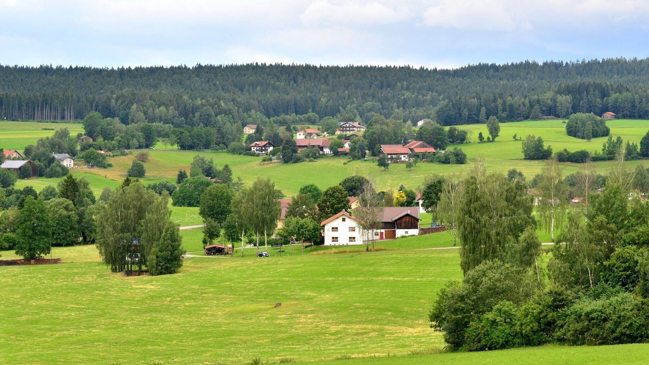 Photo of Others in Viechtach