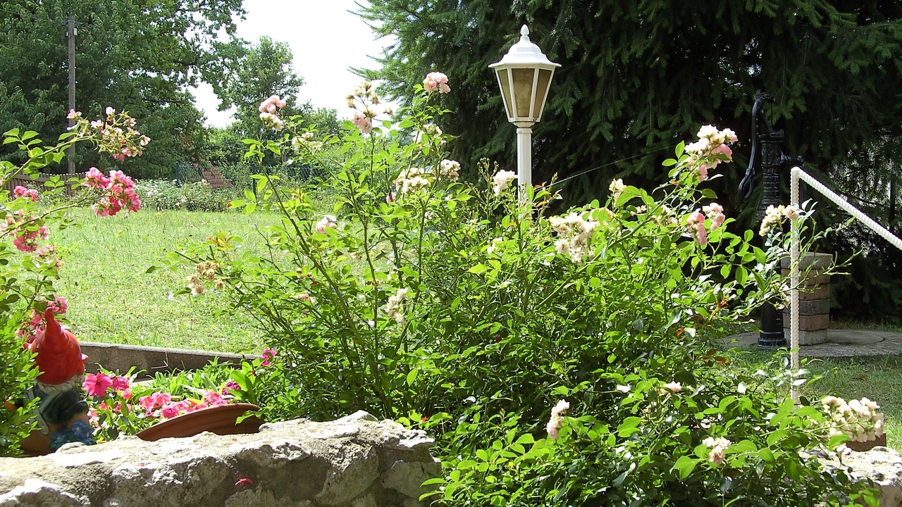Photo of Outdoor in Dreuschendorf