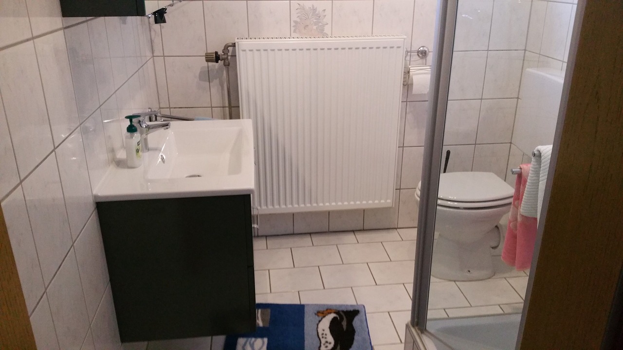 Photo of Bathroom in Dreuschendorf