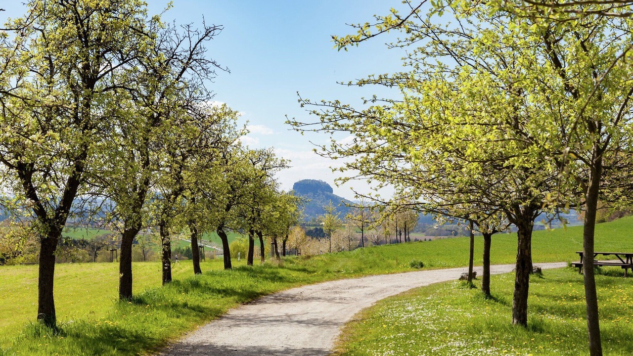 Photo of Others in Mittelndorf