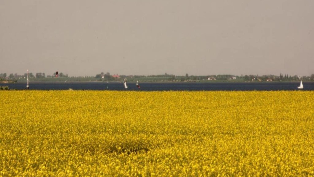 Photo of Others in Zierow