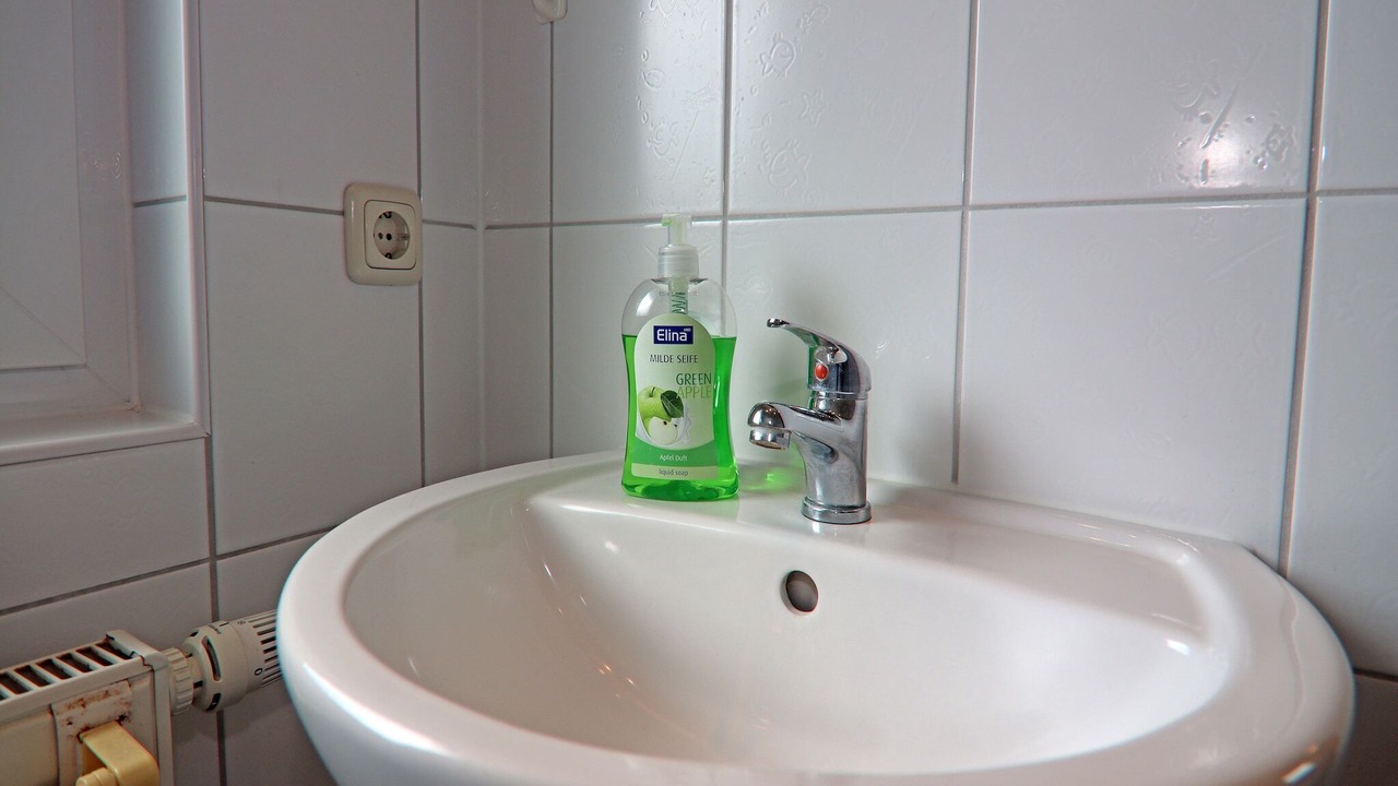 Photo of Bathroom in Alt Gaarz