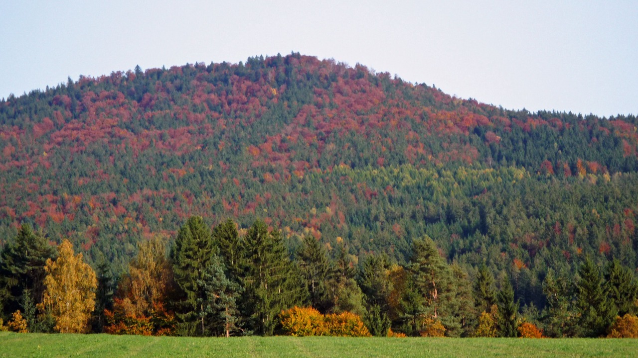 Photo of Others in Bobrach