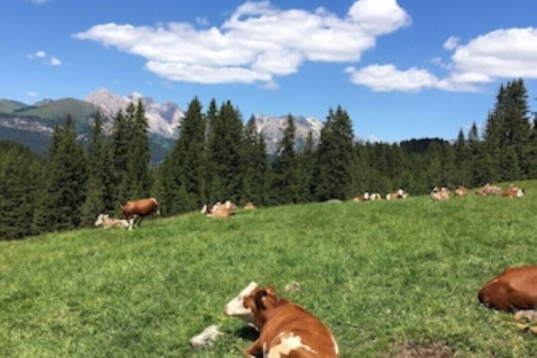 Photo of Outdoor in Hopferau