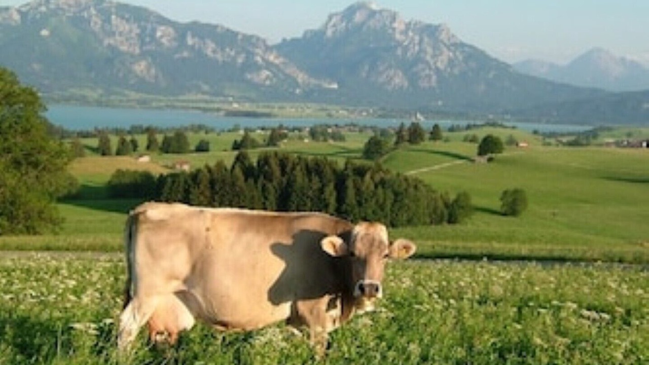 Photo of Others in Hopferau