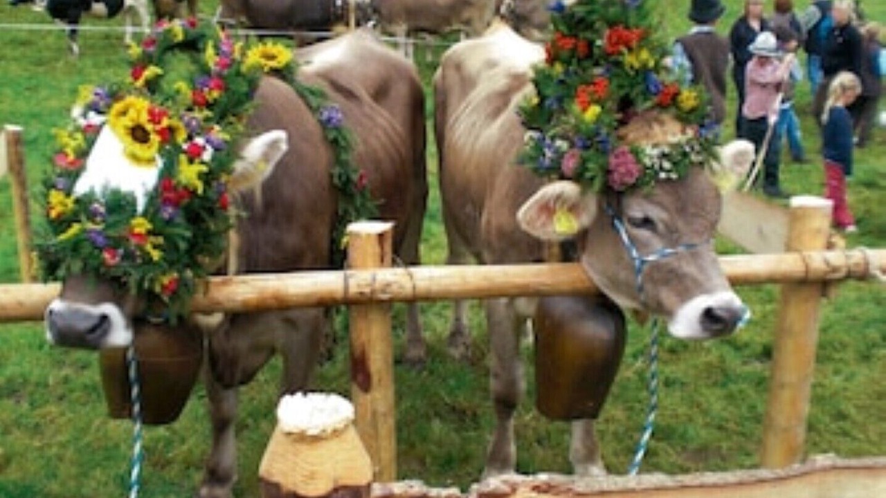Photo of Others in Hopferau