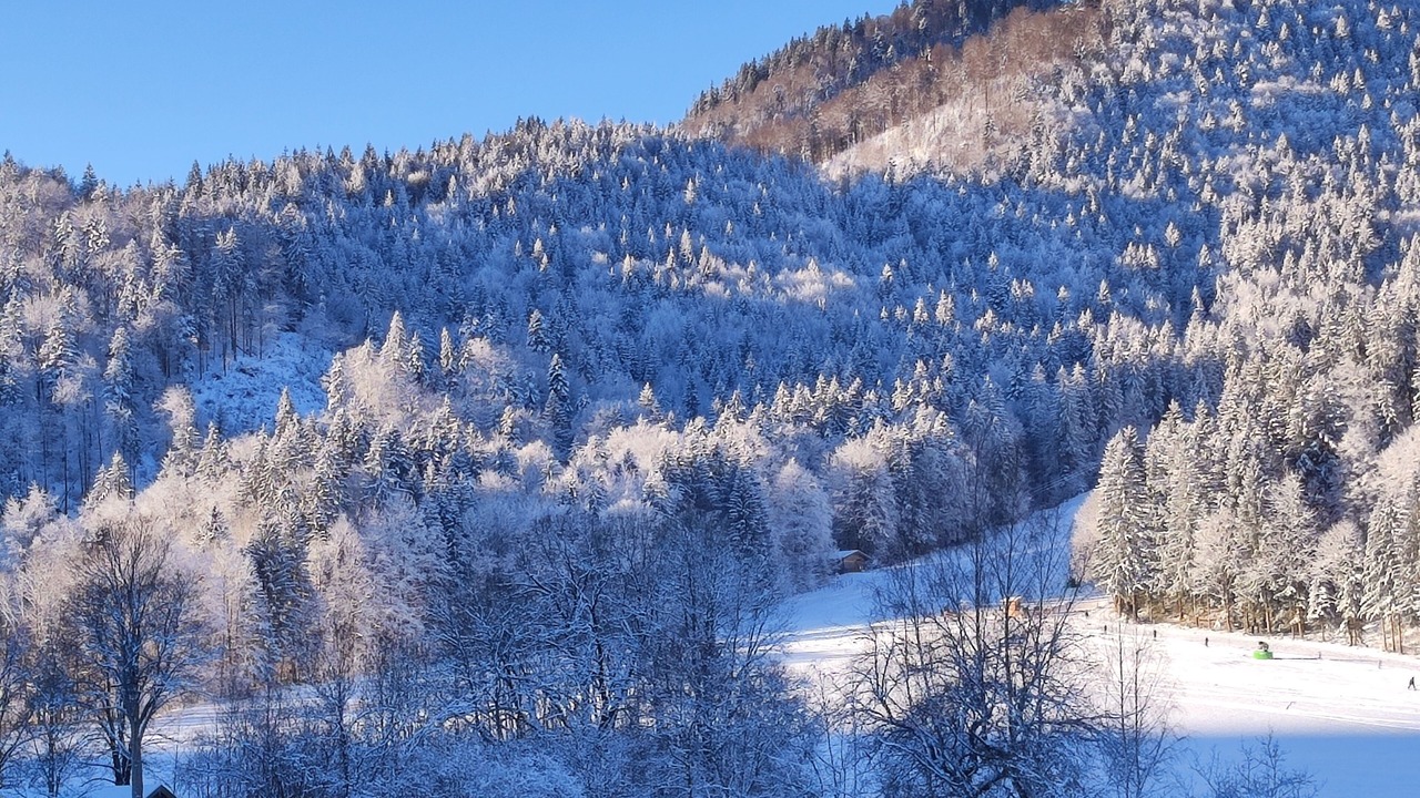 Photo of Others in Kreuth