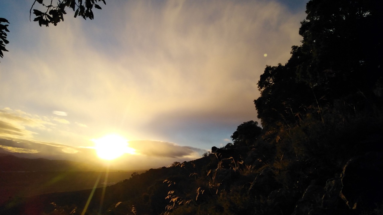 Photo of Others in Antequera