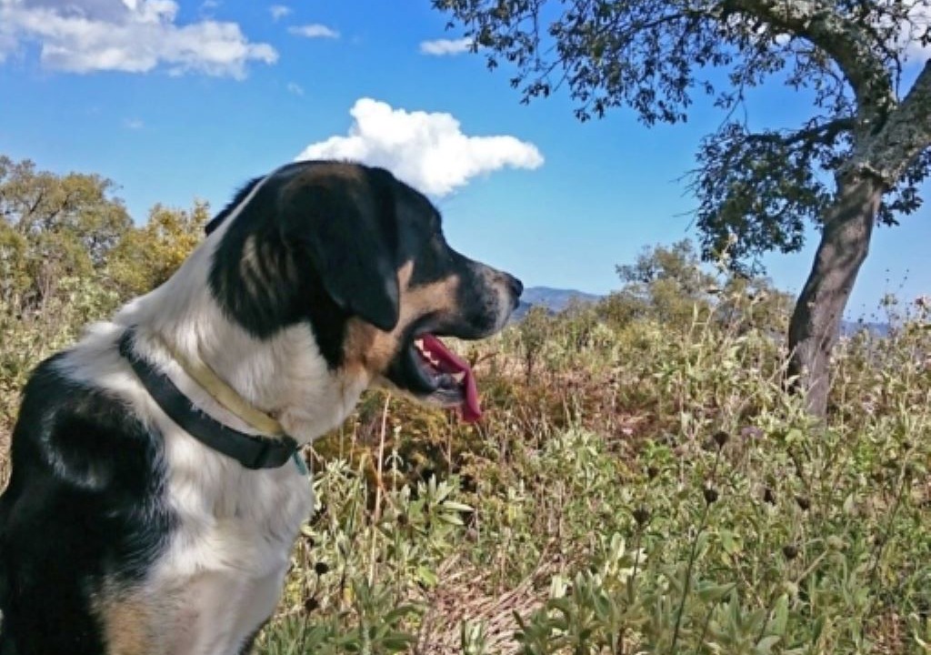 Photo of Others in Antequera