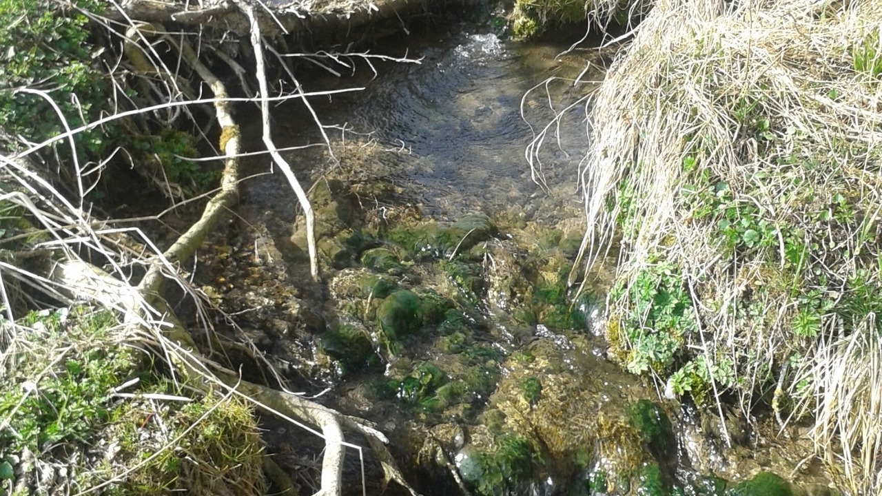 Photo of Others in Obergunzburg