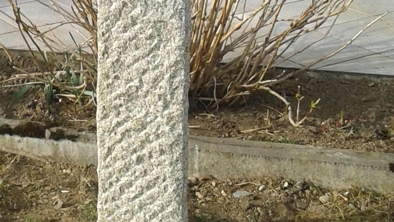 Photo of Others in Obergunzburg