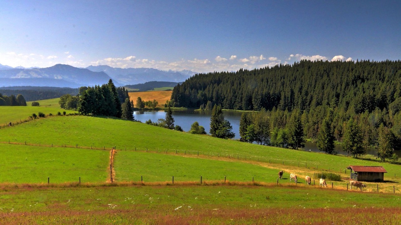 Photo of Others in Altusried