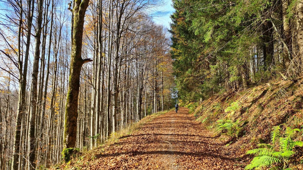 Photo of Outdoor in Altusried