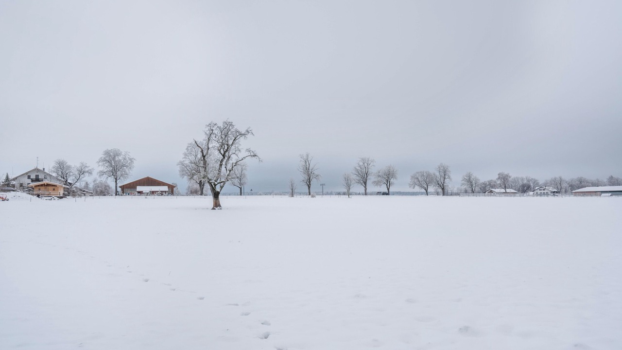 Photo of Others in Oberwarngau