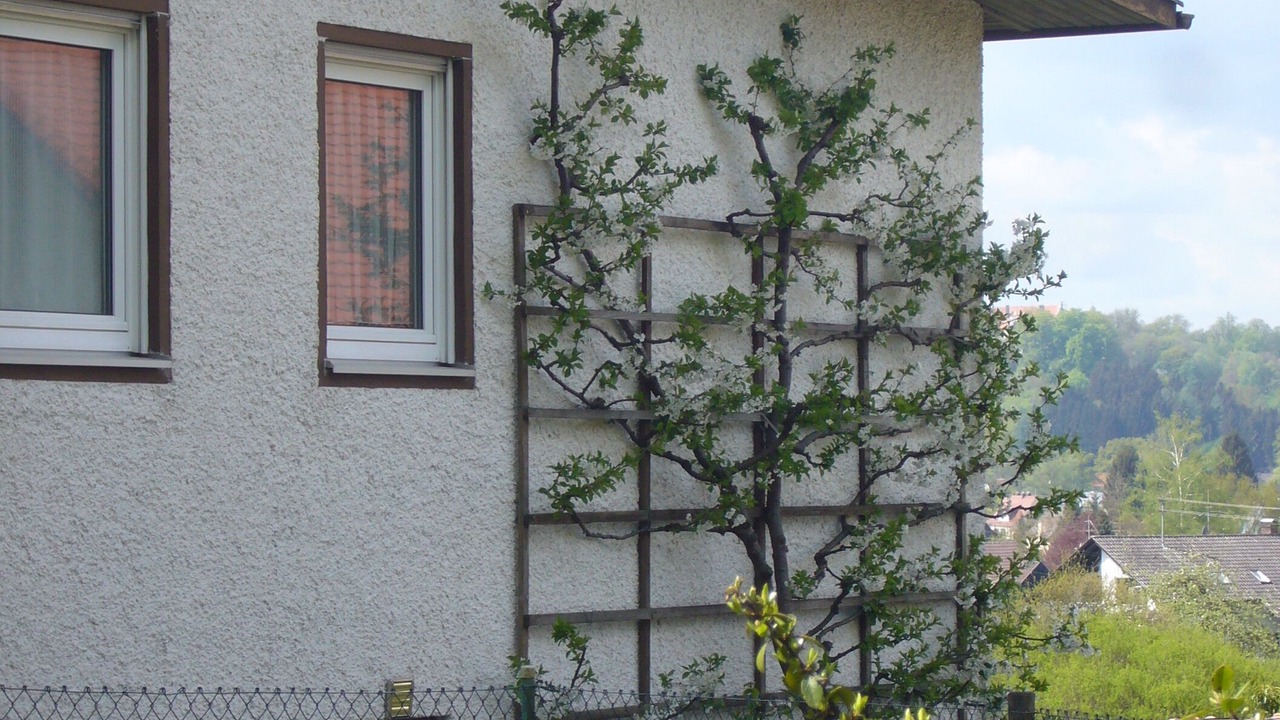Photo of Outdoor in Neuburg an der Kammel