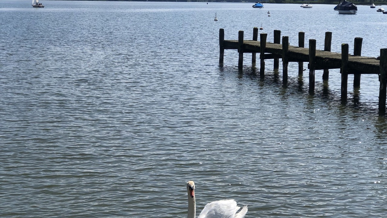 Photo of Others in Diessen am Ammersee