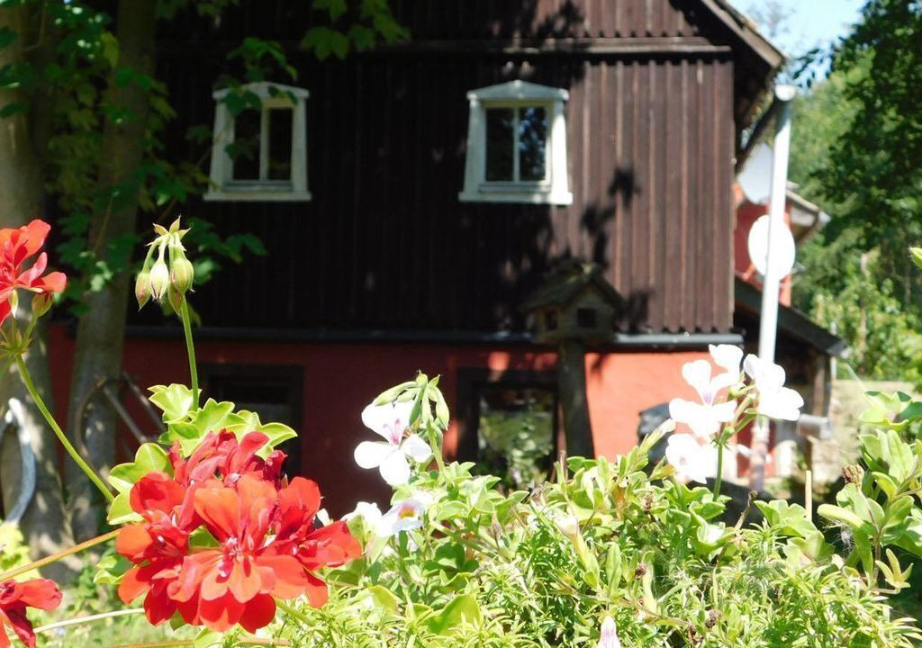 Photo of Outdoor in Berggieshubel