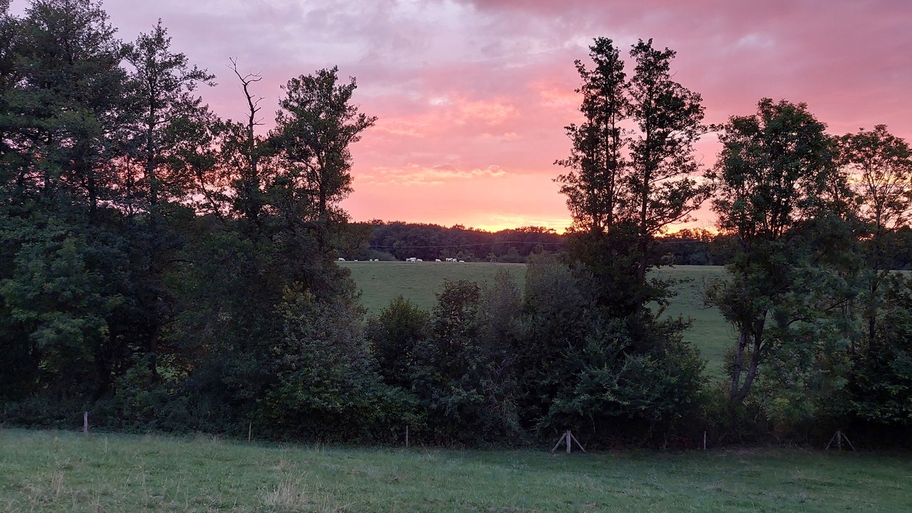 Photo of Outdoor in Diessen am Ammersee