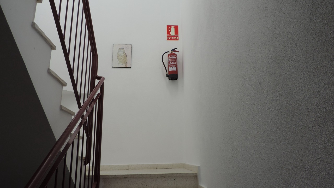 Photo of Others in Casar de Caceres