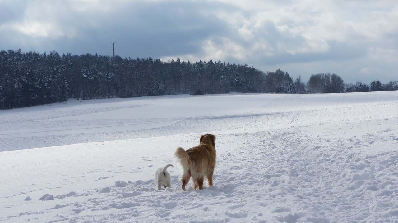 Photo of Outdoor in Graefenberg