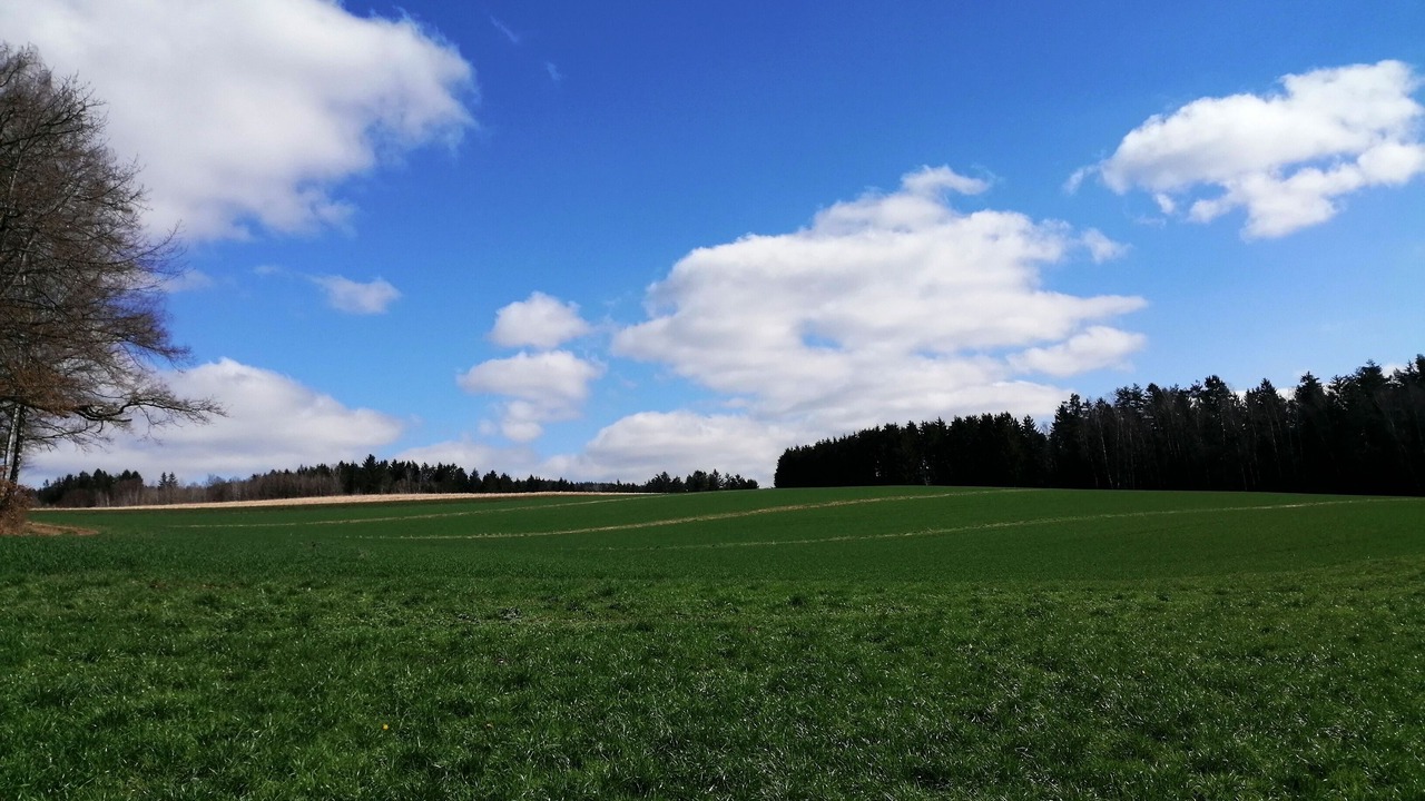 Photo of Others in Bobrach