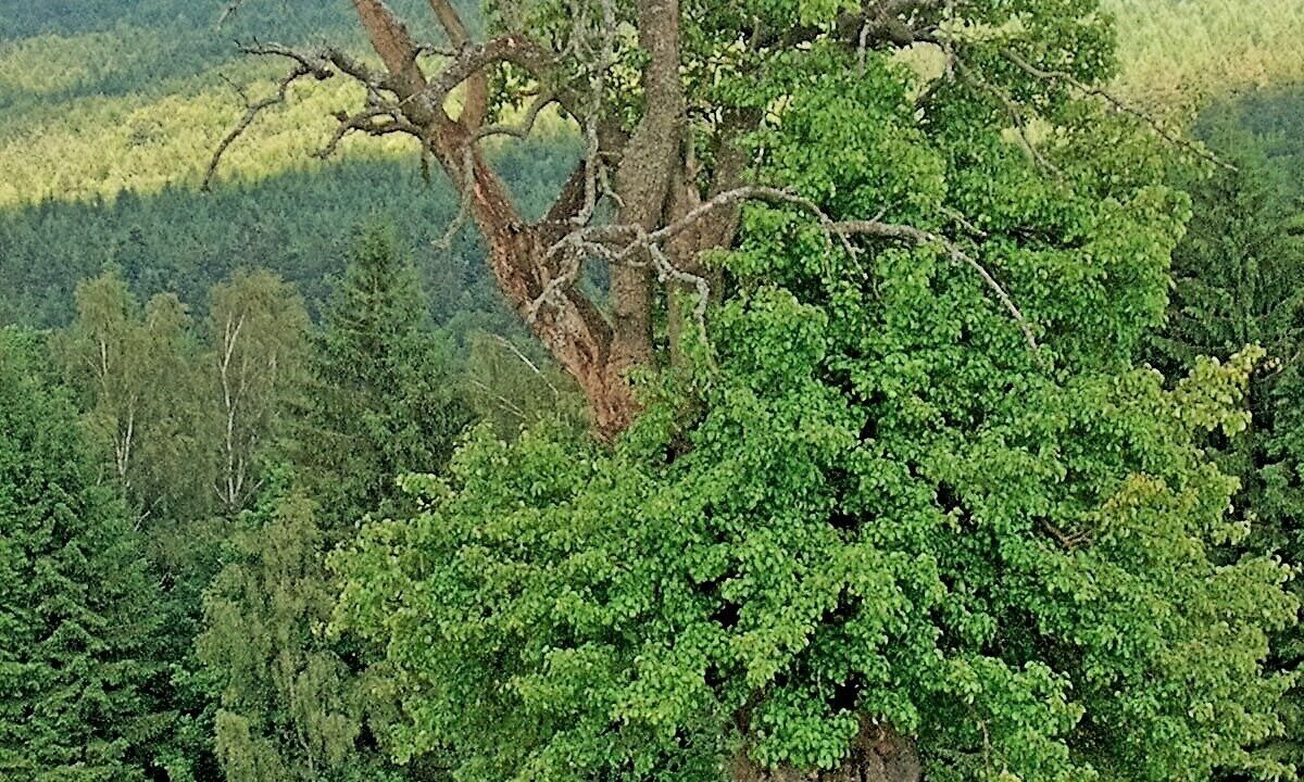 Photo of Others in Bobrach